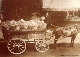 Anatole Décarie faisant la livraison de ses melons sur la rue Sainte-Catherine ouest, près de la rue Green. Vers 1910. P136-Y_02P013. Archives de la Ville de Montréal. 