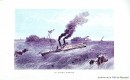 Navire à vapeur dans les rapides de Lachine, vers 1880, BM2-19_07-007