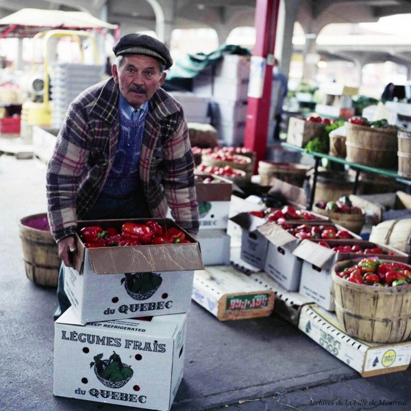 Agriculteur au marché Jean-Talon, 1987, VM94-U4667-007