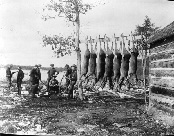 Partie de chasse, en Ontario. 1913. BM42-G3029