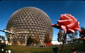 Une rose et la Biosphère. – 1968. Archives de la Ville de Montréal. VM94_264-Exc-0002