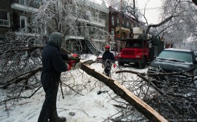 Découpage d’un arbre tombé au milieu de la rue suite au verglas. 8 janvier 1998. VM94-1998-0001-053. Archives de la Ville de Montréal.