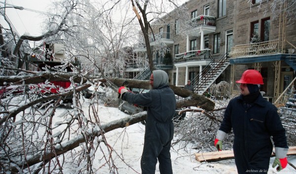 Découpage d’un arbre tombé au milieu de la rue suite au verglas. 8 janvier 1998. VM94-1998-0001-058. Archives de la Ville de Montréal.