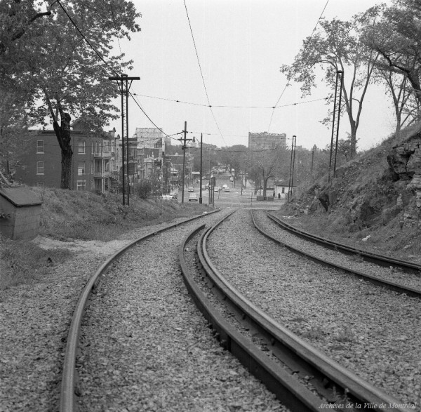 Rails du tramway à l’entrée du mont Royal au début des années 1950. VM94-U0739-017. Archives de la Ville de Montréal