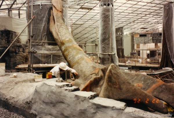 Chantier du Biodôme de Montréal; peinture d’un arbre artificiel de la Forêt tropicale humide. – 22 février 1992. – VM168-Y-3_24-065. - Archives de la Ville de Montréal.