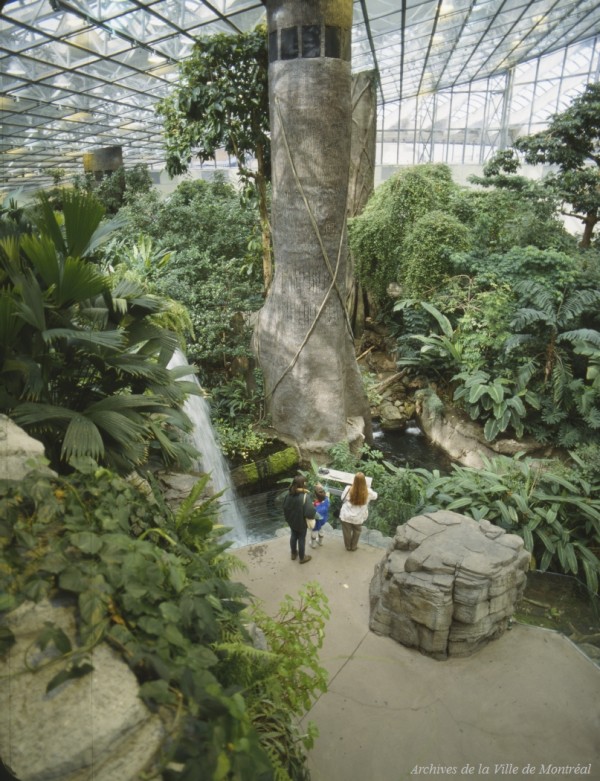 Début du Biodôme de Montréal; habitat des caïmans dans la Forêt tropicale humide – [1992]. - VM168-Y-3_28-016. - Archives de la Ville de Montréal.