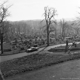Cimetière du Mont-Royal. – 5 novembre 1961. P188-02-D006-P001. Archives de la Ville de Montréal.
