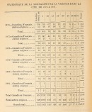 Rapport sur les décès par la variole à Montréal entre 1876 et 1881 (avant l’épidémie de 1885). Rapport annuel de 1883 p222. VM001-34-D021. AVM.